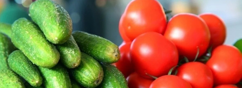 В Новороссийске на смену грунтовым овощам приходят тепличные. Почем огурцы и помидоры для народа?