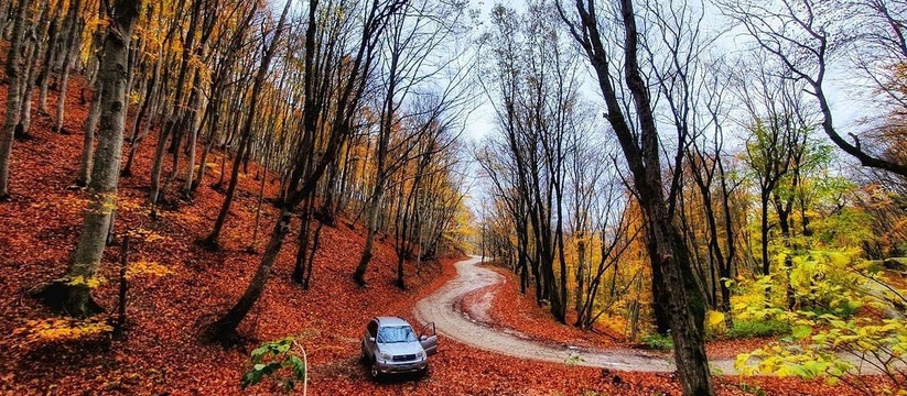С Днем туризма! Пять локаций в окрестностях Новороссийска, где можно любоваться золотой осенью: сохраняйте маршруты