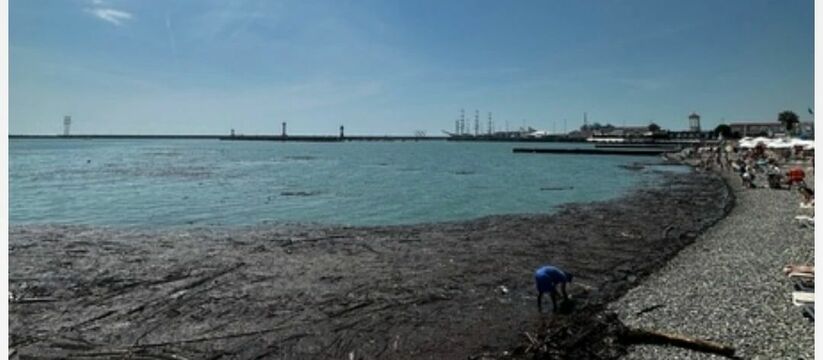 "Настоящее болото!": море в Сочи покрылось черной пленкой, мусором и палками