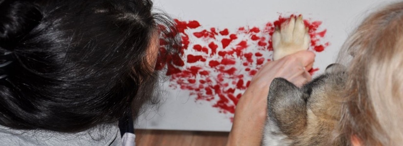 В Новороссийске зооволонтеры продают картины, «написанные» собаками, за 9900 рублей