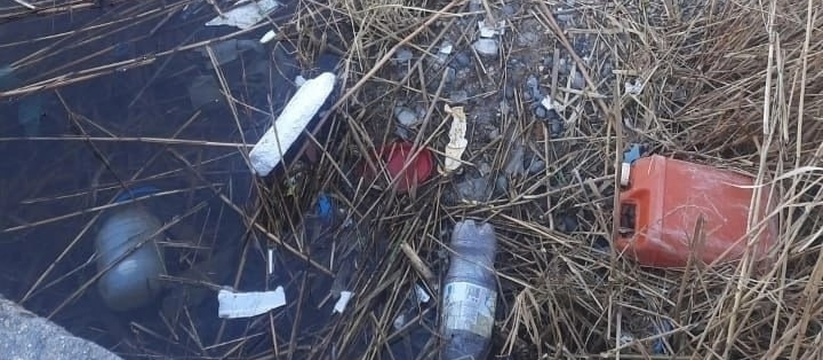 Новороссийцы заметили, что работники пляжа собирают мусор с подведомственной им территории и выбрасывают его в лагуну