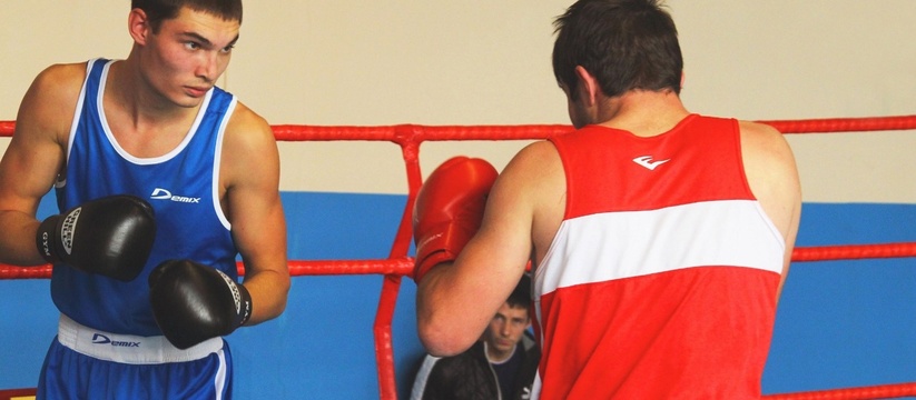 Бокс без травм: авторская программа тренировок Ильи Степанца