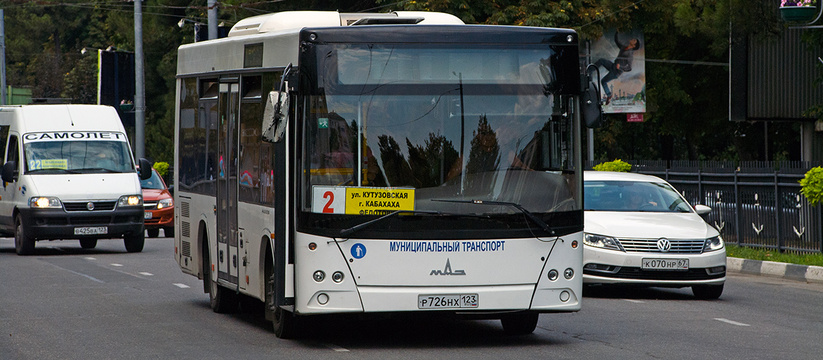 30 троллейбусов с автономным ходом и новые маршруты: как глава Новороссийска планирует развивать транспортную инфраструктуру