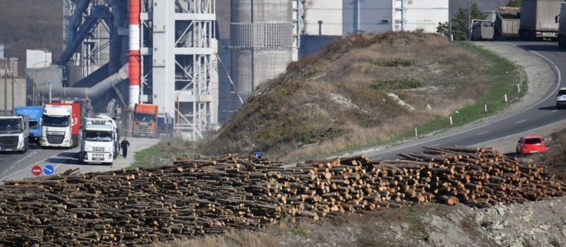 Для строительства развязки под Новороссийском уничтожат 15 гектаров леса