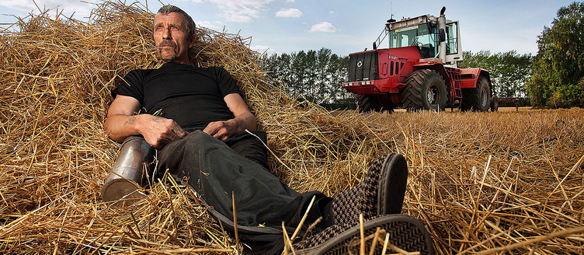 Лже-фермер обманул администрацию Новороссийска на 420 000 рублей, получив деньги на несуществующее хозяйство