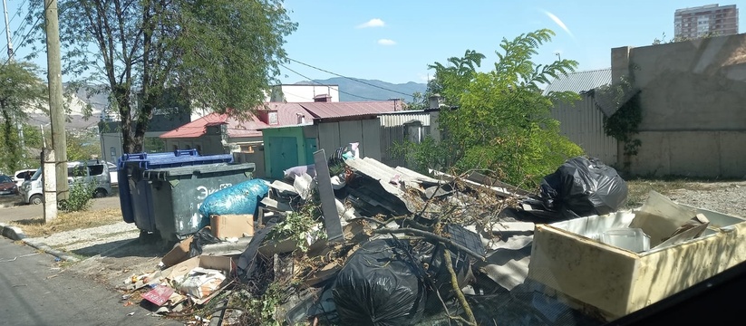Новороссийск продолжает тонуть в мусоре: зловонные помойки превращаются в стихийные свалки