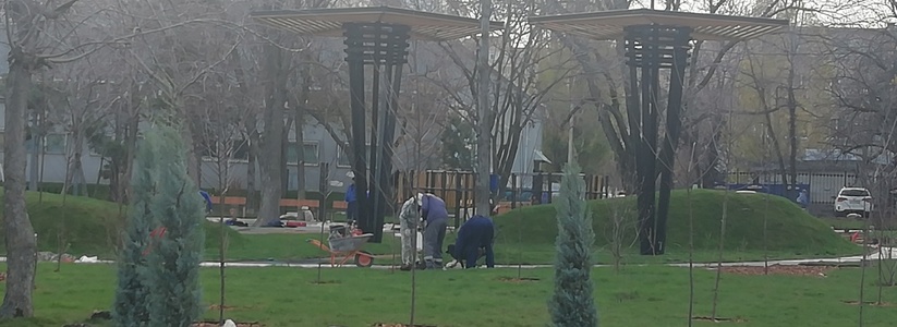 «А это что еще за окопы!?»: в парке Фрунзе Новороссийска появились искусственные холмы