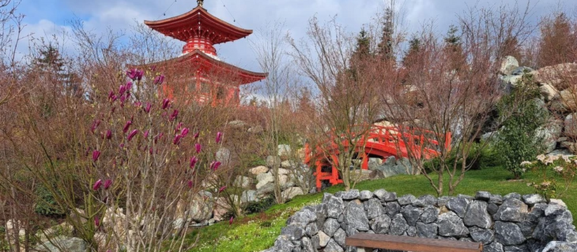 В Японский сад в Краснодаре выстроилась очередь, а самые предприимчивые продают QR-коды на вход в соцсетях. Фото первых посетителей