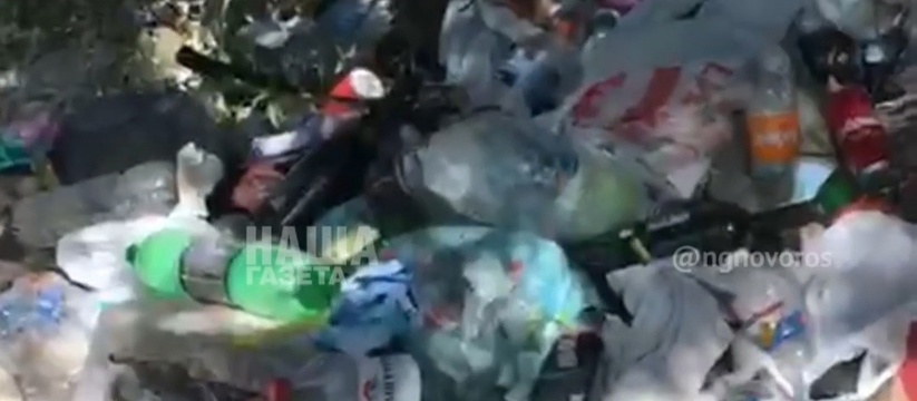 «Свалка пакетов, все гниет, воняет!»: туристы превратили лес вокруг озера Абрау в мусорную свалку