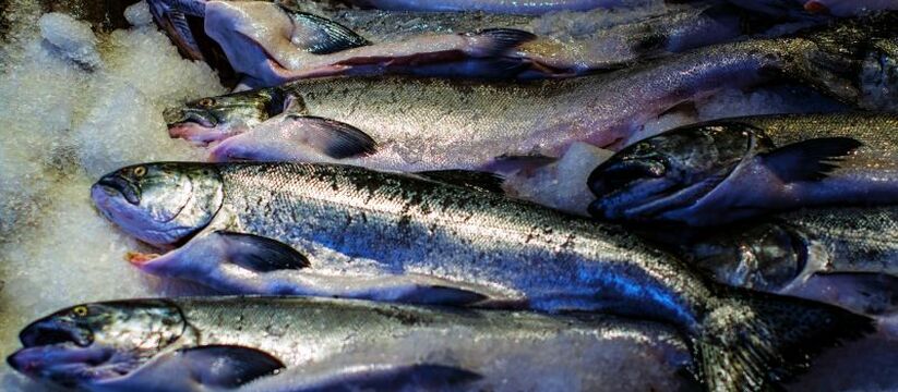 Питательные вещества и белок, которые содержатся в рыбе, имеют большое значение для здоровья человека.