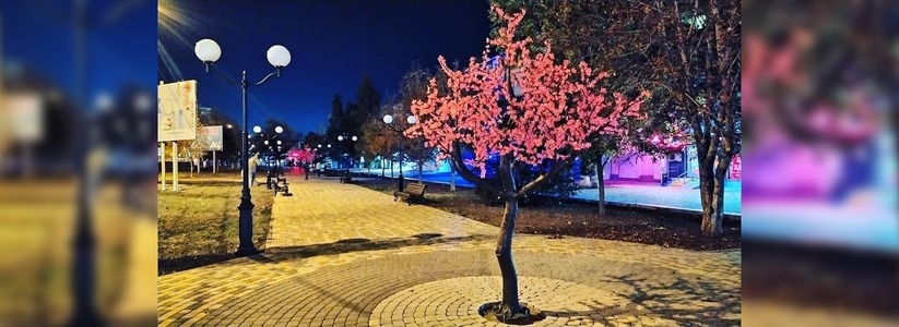 Сквер в Новороссийске украсили искусственные сакуры