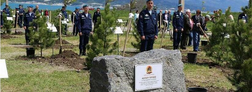 На территории комплекса «Малая земля» высадили 80 кедров с именами героев Великой Отечественной войны