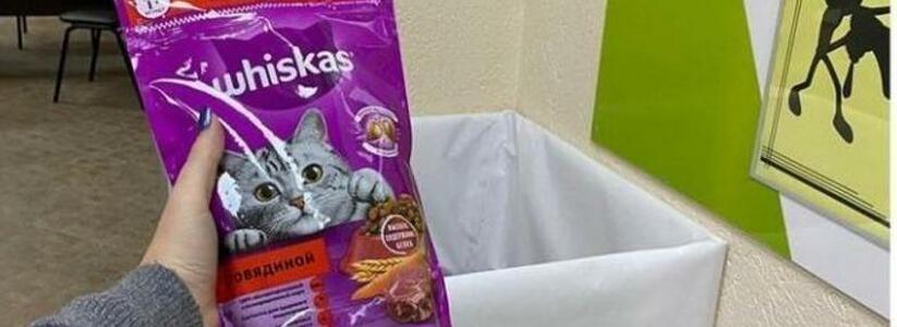 "Счастливый хвостик": новороссийцы могут принести корм для бездомных животных (адрес)