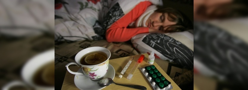 Новороссийцы могут по телефону узнать, как защитить себя и близких от гриппа и ОРВИ