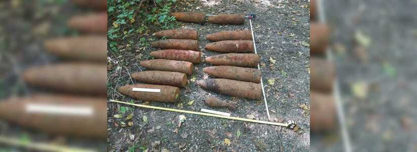 В лесу под Новороссийском нашли боеспособные мины и снаряды