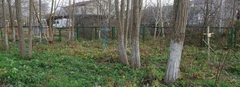 В Новороссийске на месте заброшенного кладбища может появиться парк памяти