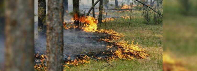 За неделю в Новороссийске произошло 27 возгораний мусора и травы