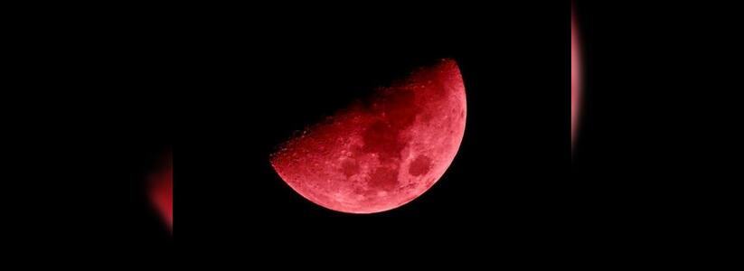 Жители Новороссийска в июле смогут наблюдать за полным затмением Луны