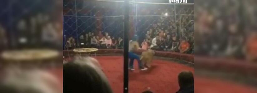 На Кубани львица напала на 4-летнюю девочку во время выступления в цирке: шокирующее видео происшествия попало в сеть (18+)
