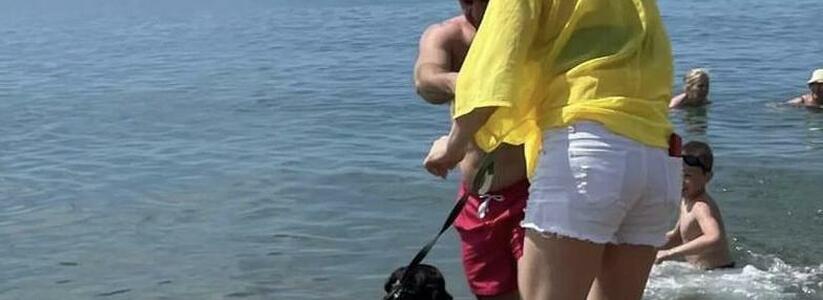 «Собаки плавают там же, где и дети»: новороссийцы пожаловались на пляж в Мысхако