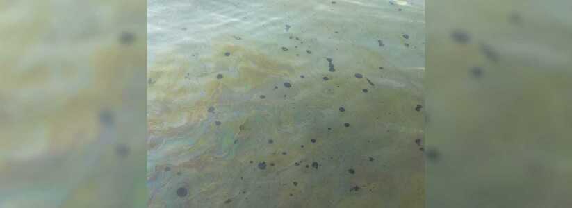 Черные пятна заметили новороссийцы в акватории Цемесской бухты: фото и видео