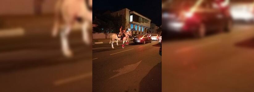 «Скоро все пересядем на коней»: жителей Новороссийска позабавили лошади, ожидающие «зеленый» на светофоре