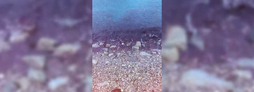 Ученые объяснили, почему море в новороссийской бухте окрасилось в красный цвет