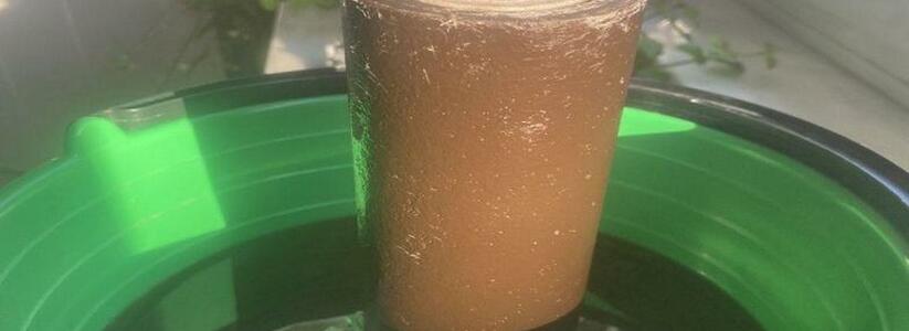 "В город подается очень грязная вода!": новороссийцы показали фильтр после недельного использования