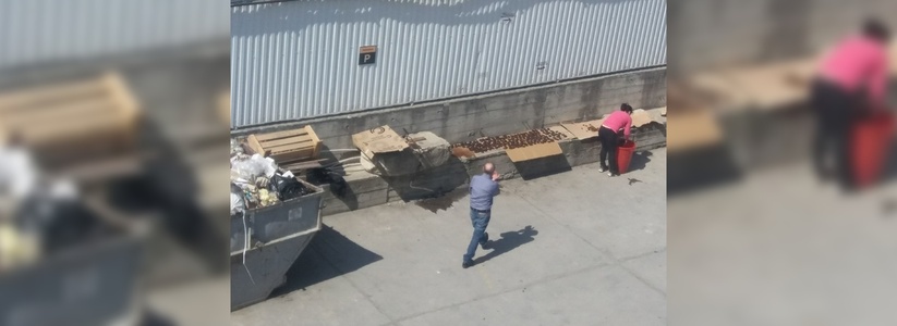 Жители Новороссийска сняли на видео, как промывают финики рядом с мусоркой и затем фасуют
