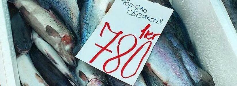 "Рыбаками стали все!" в Новороссийске начали продавать форель, выброшенную штормом из рыбного хозяйства в Сочи