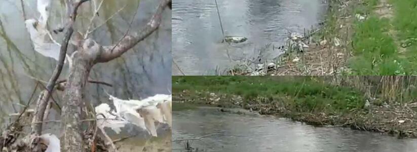 «Раньше была судоходной, теперь загажена!»: активисты показали состояние реки Цемес