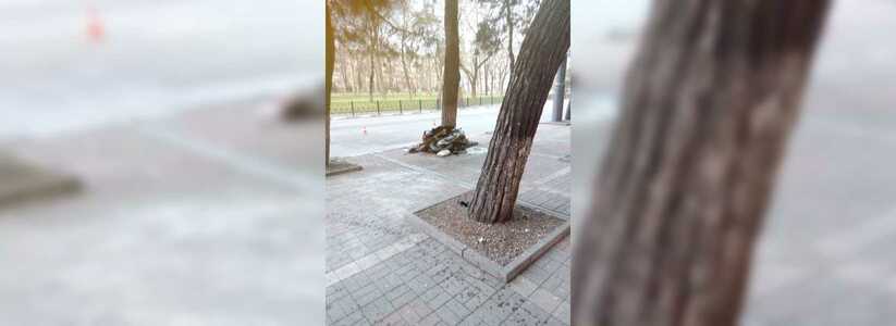 В центре Новороссийска мотоцикл на скорости вылетел с дороги: от травм скончались два человека