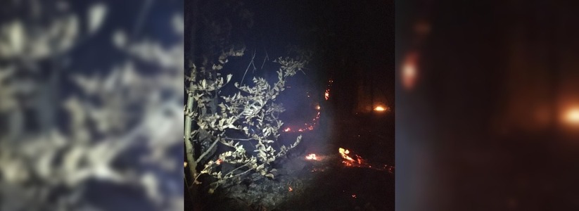 Пожарные и спасатели два часа тушили вспыхнувший на Маркотхском хребте лесной пожар