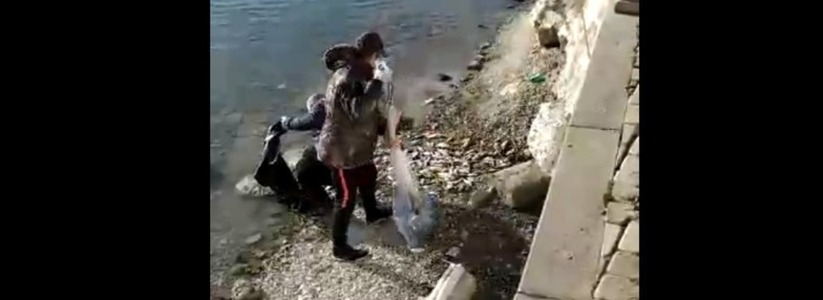 «Браконьеры лютуют». Новороссийцы сняли на видео, как из озера Абрау  сетями гребут рыбу