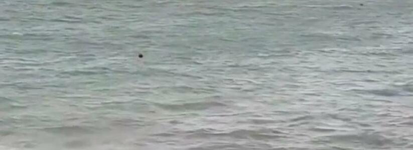 "Кто утонет, купаться больше не будет!": новороссийских моржей не пугает шторм