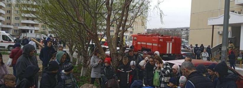 В Новороссийске спасатели реанимировали собаку