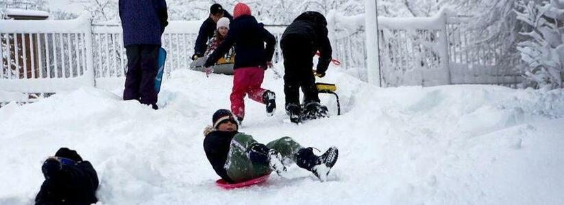 Новороссийск накрывает снегом: отменят ли занятия в школах?