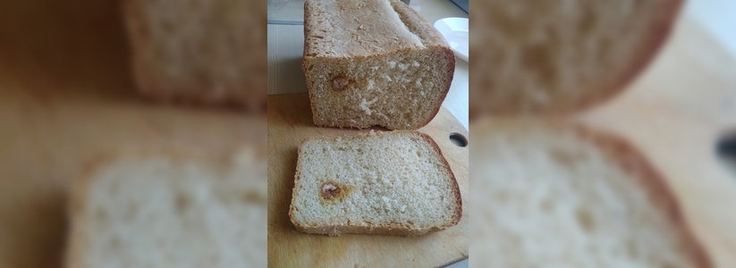 Новороссиец обнаружил в заводском хлебе «липкий сгусток» и выложил фото в сеть