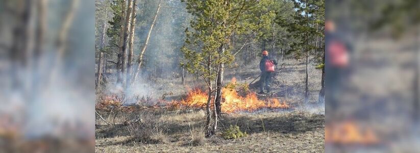 В Новороссийске из-за жары объявили IV класс пожароопасности