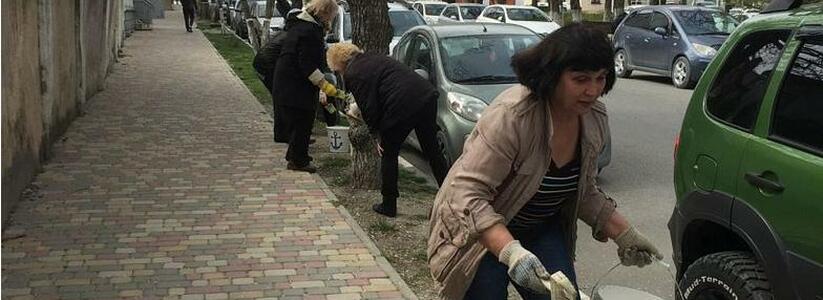 Новороссийские депутаты спорят, стоит ли белить деревья или нет
