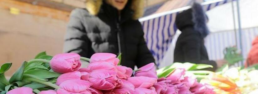 Где в Новороссийске купить цветы на 8 марта? Адреса муниципальных ярмарок