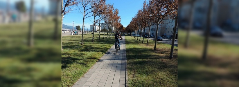 Велодорожки на набережной Новороссийска будут обустраивать после ее ремонта