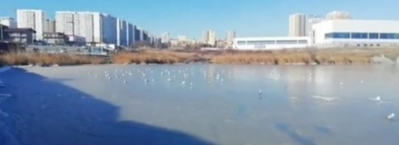 В Новороссийске замерзло озеро Соленое. Жителей города просят не выходить на лед