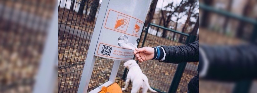 Дог-боксы для уборки за собаками установят на набережной Новороссийска