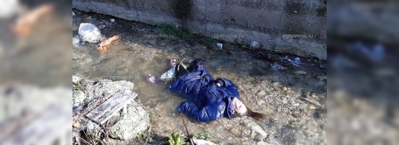 В Новороссийске в ручье нашли тело женщины. В Следкоме рассказали причину смерти