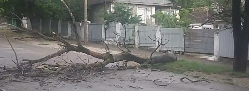 Потопы на дорогах и сломанные деревья: новороссийцы публикуют фото и видео последствий ночного урагана