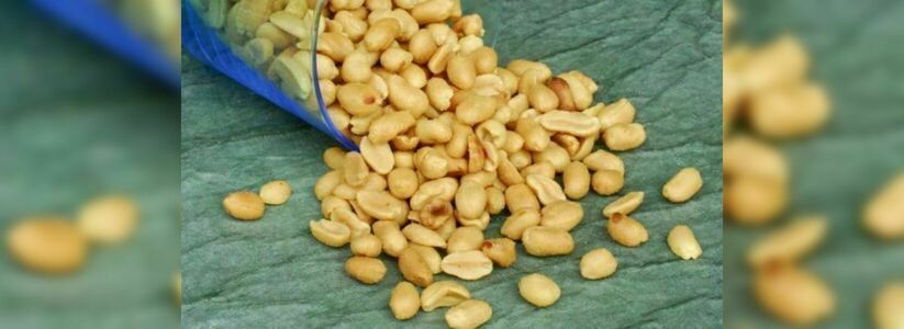 В порту Новороссийска задержали 19 тонн зараженного арахиса