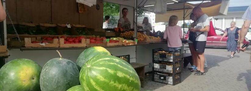 На рынках Новороссийска появились арбузы: как выбрать самую сладкую ягоду и сколько придется за нее заплатить