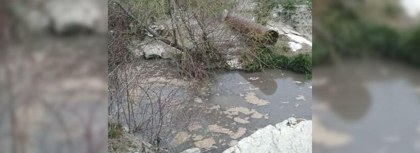 «Невозможно дышать от сильной вони». Жители Новороссийска сняли на видео грязь в ручье, который питает Южные пруды