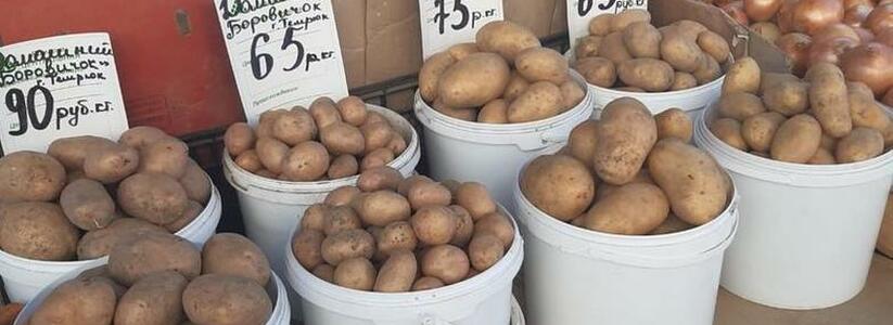 Картошка по цене заграничных фруктов: в Новороссийске цены на овощи катастрофически растут